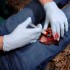 Аппликатор гемостатический с гранулами Rhino Rescue в Клину хитозановый