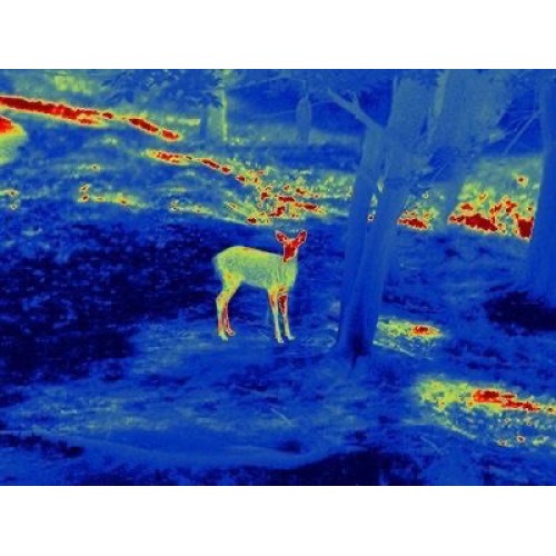 Прицел тепловизионный GUIDE TS450 в Клину